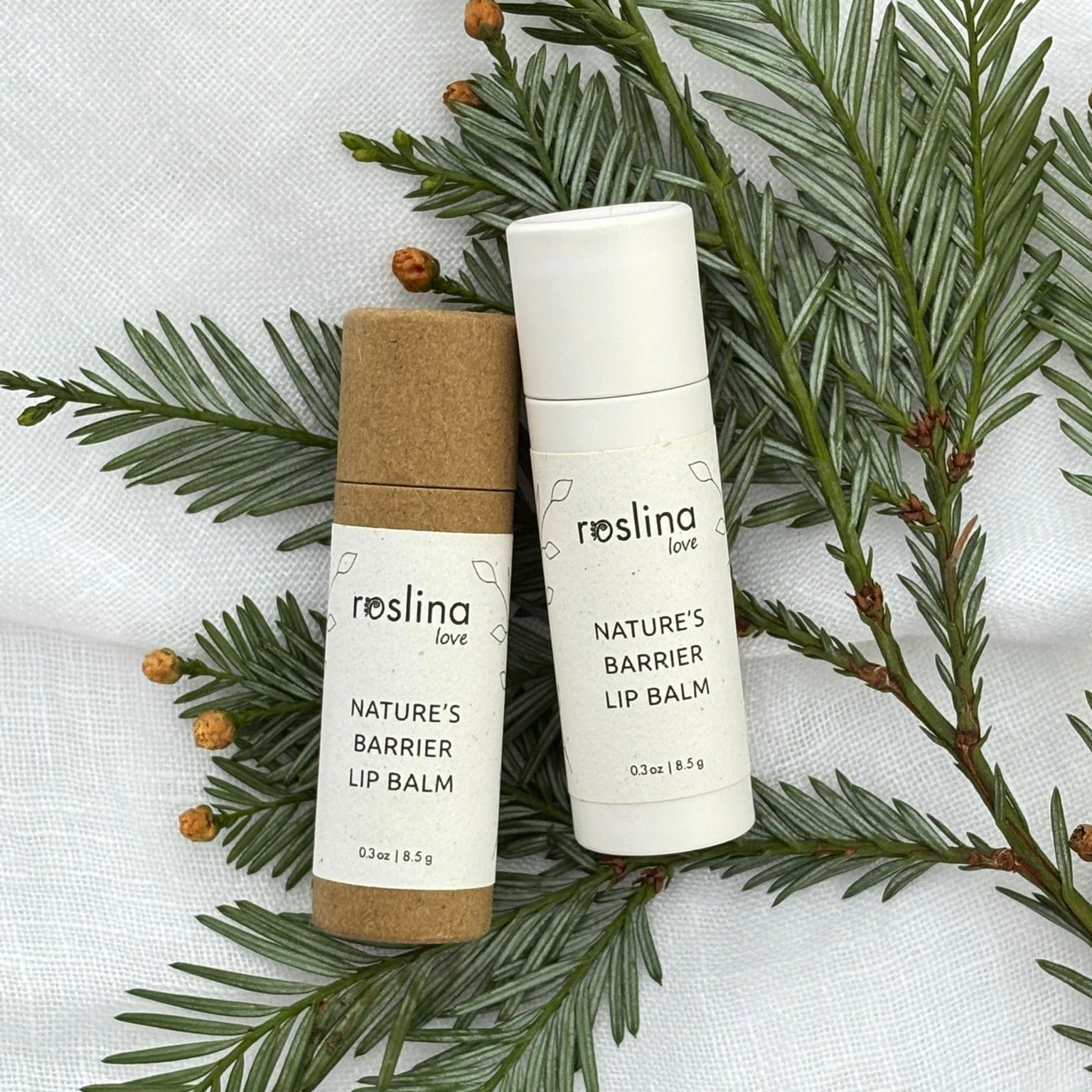 Two lip balm products on a bed of green leaves with 'resina' branding.